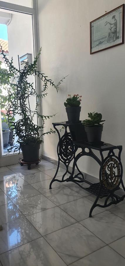 City Garden 普雷韦扎 外观 照片